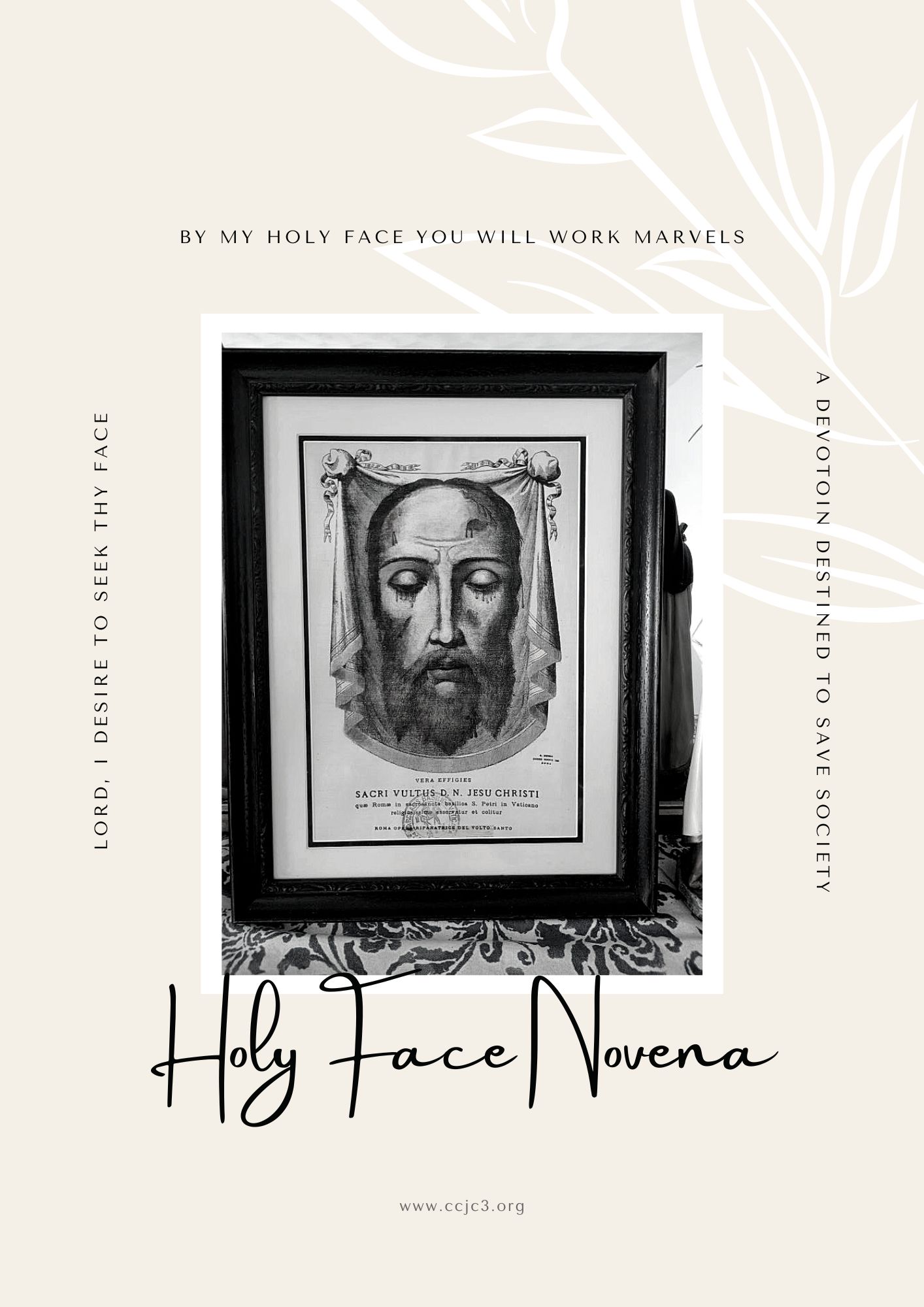 Holy Face Novena Please Pray with Us! CCJC